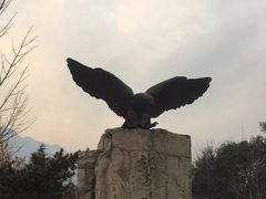 -北京鹫峰国家森林公园
