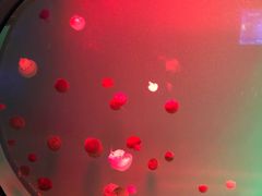 -福州罗源湾海洋世界旅游区