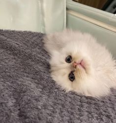 -隅日式美甲美睫專門店