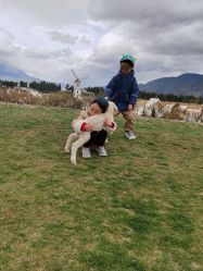 -268童话露营农场·烧烤·团建