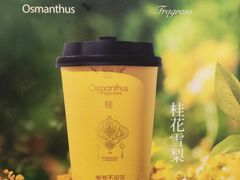 -爷爷不泡茶 NOYEYENOTEA(长沙五江天街店)