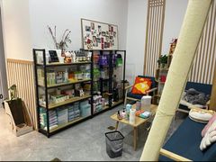 -山宅一喵德文卷毛猫舍