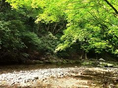 -关门山森林公园