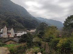 -雁南飞茶田景区