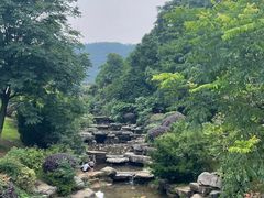 -桃花岭景区