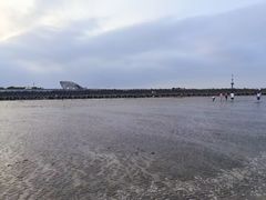 -南汇嘴观海公园