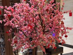 -上海小南国(国发店)