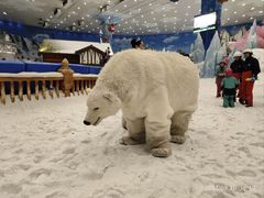 -长沙湘江冰雪世界