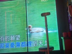 -星聚会KTV(龙湖上海奉贤天街店)