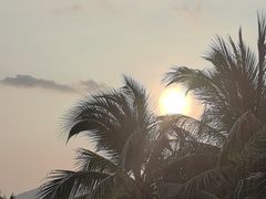 -日落吧·海景咖啡厅·餐酒吧·鸡尾酒·下午茶·乐队表演·浪漫夕阳·三亚文华东方酒店