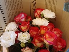 -循礼门鲜花花市(武汉循礼门店)