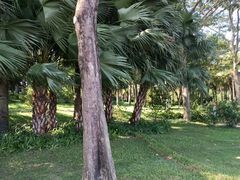 -深圳湾公园(南山区)