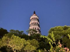 -顺峰山公园