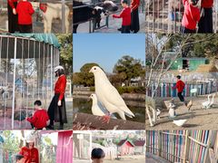 -上海佘山世茂艾美酒店