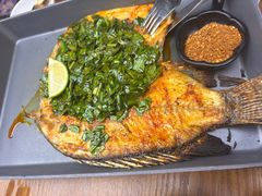 -云海肴·汽锅鸡·云南菜(天山百盛优客店)