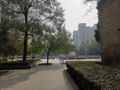 -木塔寺遗址生态公园