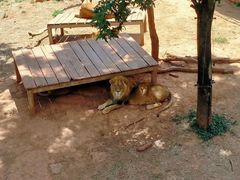 -昆明动物园