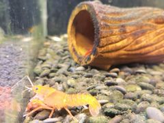 -上海大自然野生昆虫馆