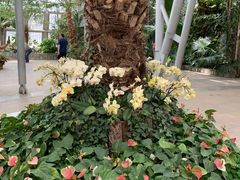 -北京植物园-展览温室