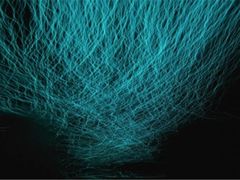 -怀托摩萤火虫洞