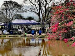 -中国科学院西双版纳热带植物园