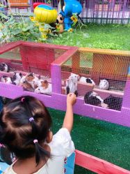 -萌宠亲子动物乐园(槐房万达店)