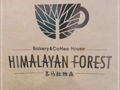 -喜马拉雅森HIMALAYAN FOREST
