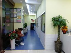 -瑞鹏宠物医院·爱宠堂·骨外专科(西荷分院)