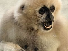 -石家庄市动物园