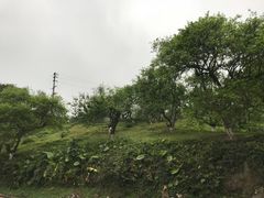 -广州市石门国家森林公园