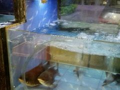 -肥仔顺德菜(龙悦居店)