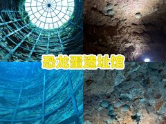 -中国西峡恐龙遗迹园