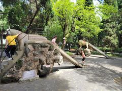 -房湖公园