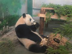-无锡动物园·太湖欢乐园