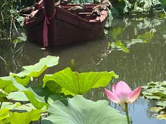 -前关湿地公园