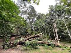 -中国科学院西双版纳热带植物园