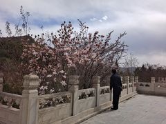 -潭柘寺景区