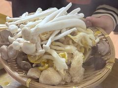 -菌极鲜野生菌火锅店(阳明祠店)