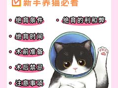 -守诺宠物医院·眼科· 特色牙科·异宠专科(虹口店)