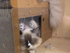 -麻友记·24h自助棋牌(金融科贸店)