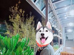 -阿鹏故事云南野生菌火锅(人民路店)