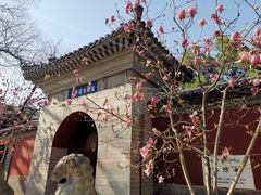 -红螺寺