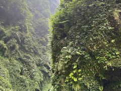 -通灵大峡谷