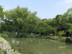 -昆山城市生态森林公园