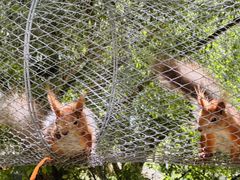 -水上乐园·欢乐世界