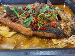 -听涛雅苑百味饺子老家菜馆