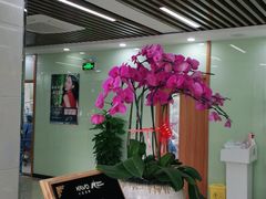 -茂菊口腔连锁(浦东南路店)