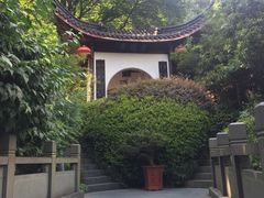-十八棵（老龙井）御茶园(老龙井店)