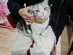 -百金通黄金回收首饰定制维修(珠江路总部)