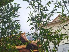 -深圳仙湖植物园